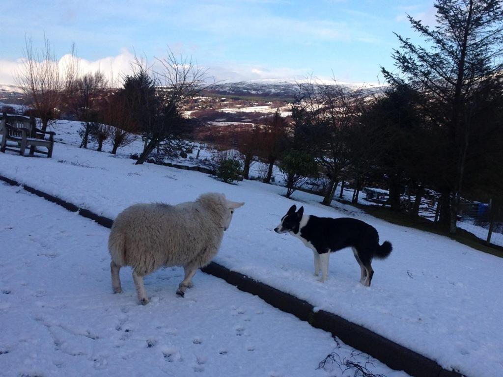 Torran B & B Ullapool Kültér fotó